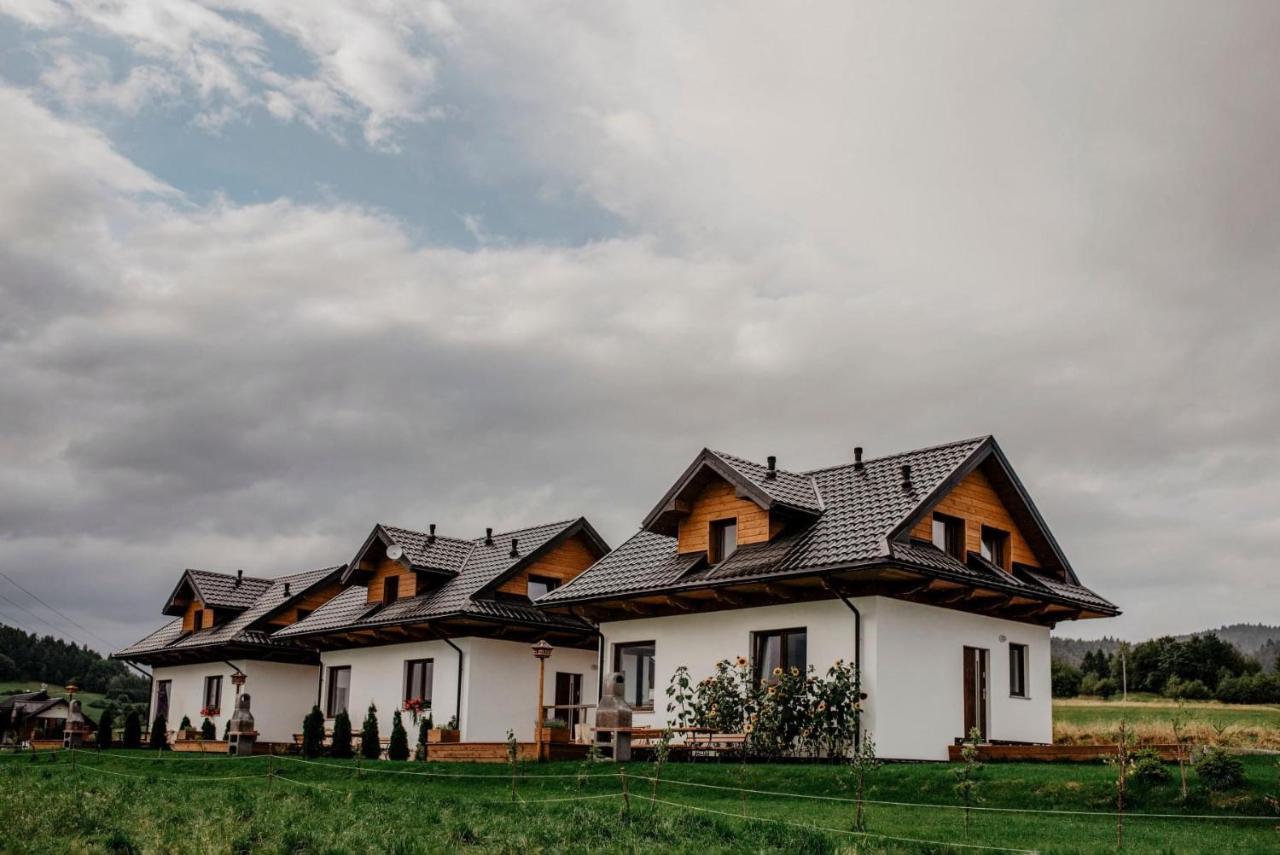 Domki Pod Wulkanem Krosnica  Экстерьер фото